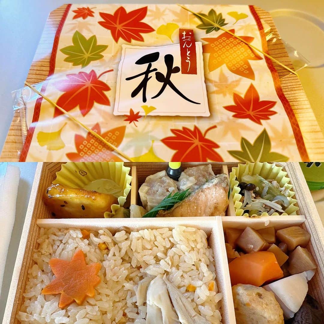 長野智子さんのインスタグラム写真 - (長野智子Instagram)「骨折入院した時には、2ヶ月後に地方出張に行く自分の姿なんて想像すらできませんでした🥹  一日一日の積み重ねがこうして未来に繋がっていくのだなあと。。  崎陽軒も秋色🍁 色々感無量な新幹線弁当食べながら大阪へ🚄」10月2日 12時49分 - naganotomoko