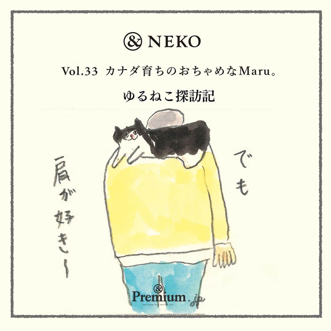 &Premium [&Premium] magazine.のインスタグラム