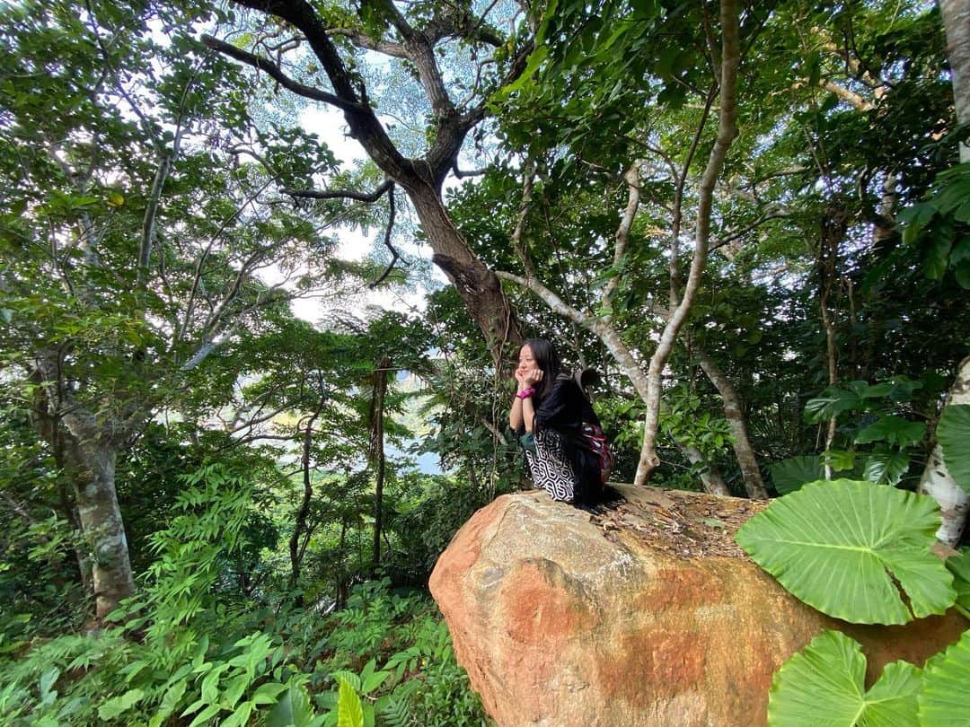 中越典子さんのインスタグラム写真 - (中越典子Instagram)「石垣島 の素晴らしいガジュマルの木に会ってきました♡  心がひらいて、、、 自然からも人からも、色々プレゼントを貰った旅になり、わたくし満たされてきましたぁ  #石垣島 #ガジュマル #海が美しい#食事も美味しい #エネチャージ ありがとう石垣♡」10月2日 12時50分 - nakagoshi_noriko.official