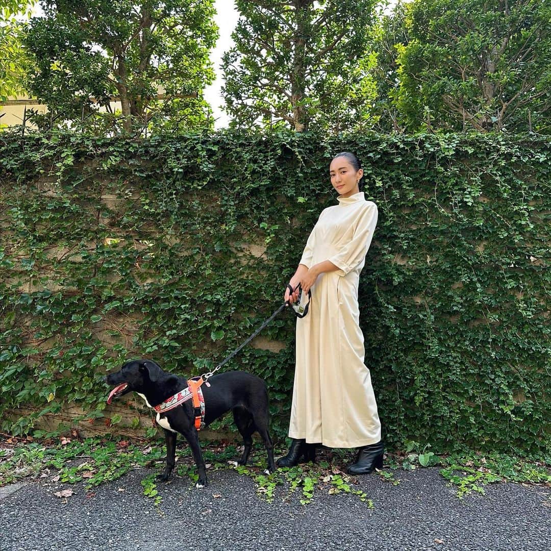 桐山マキさんのインスタグラム写真 - (桐山マキInstagram)「. . October 🍂  10月ですね！  9/29の 十五夜、中秋の名月🌕  愛犬達とお月見もして 気持ちよく10月を迎えました♡  連日着てたスタイルアップする ロンパース♡ @charol___official   #japan #fashion #love #dogs  #🌕」10月2日 12時51分 - maki_kiriyama