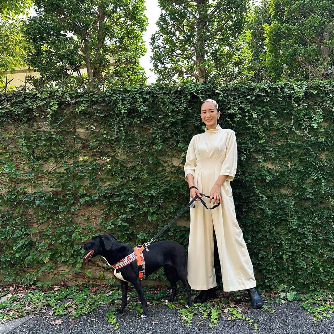 桐山マキのインスタグラム：「. . October 🍂  10月ですね！  9/29の 十五夜、中秋の名月🌕  愛犬達とお月見もして 気持ちよく10月を迎えました♡  連日着てたスタイルアップする ロンパース♡ @charol___official   #japan #fashion #love #dogs  #🌕」