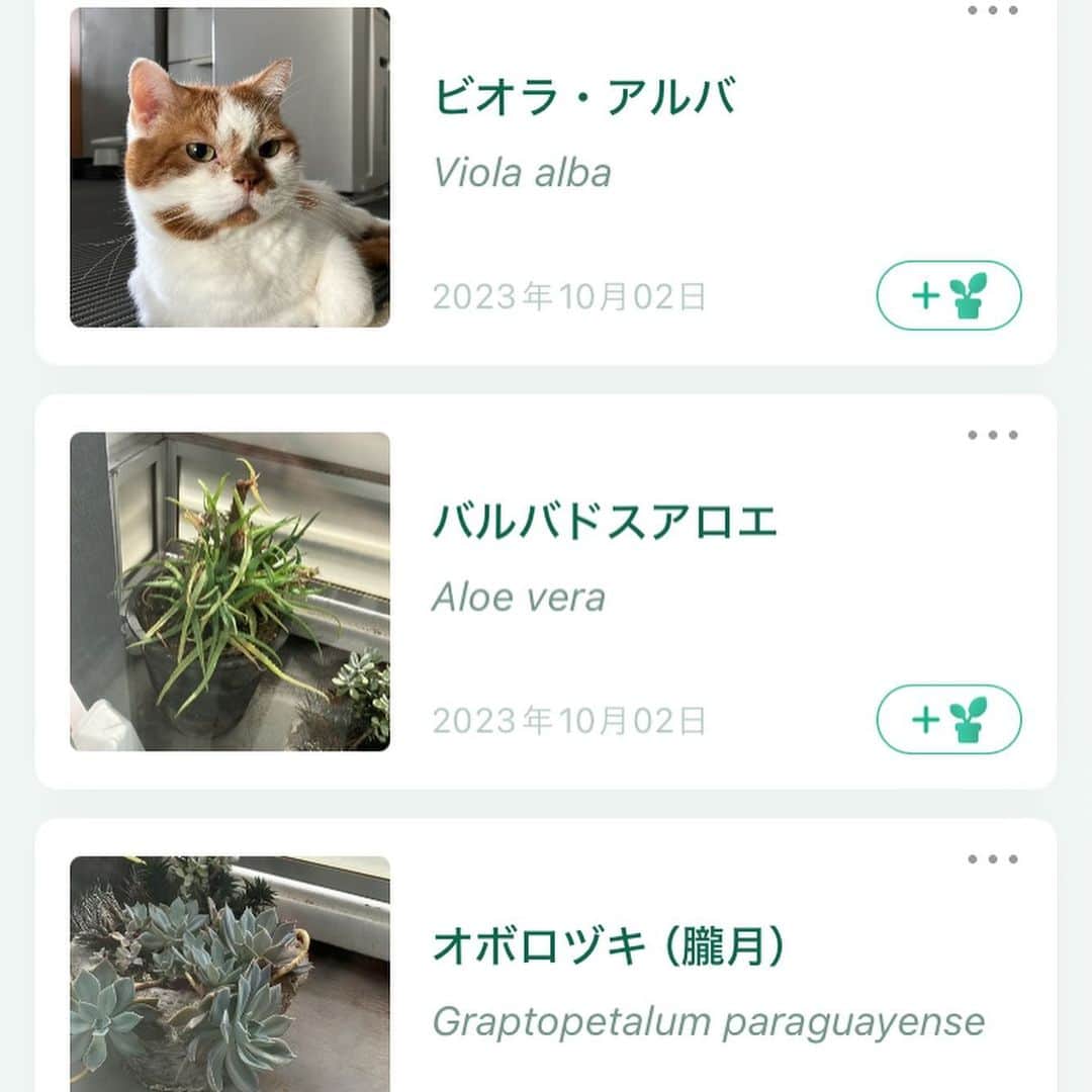 外山輝信のインスタグラム