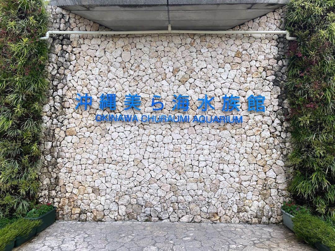 MASA（BRIDGET）のインスタグラム：「何気に初めて🤩✨  #bridgetmasa #美ら海水族館」