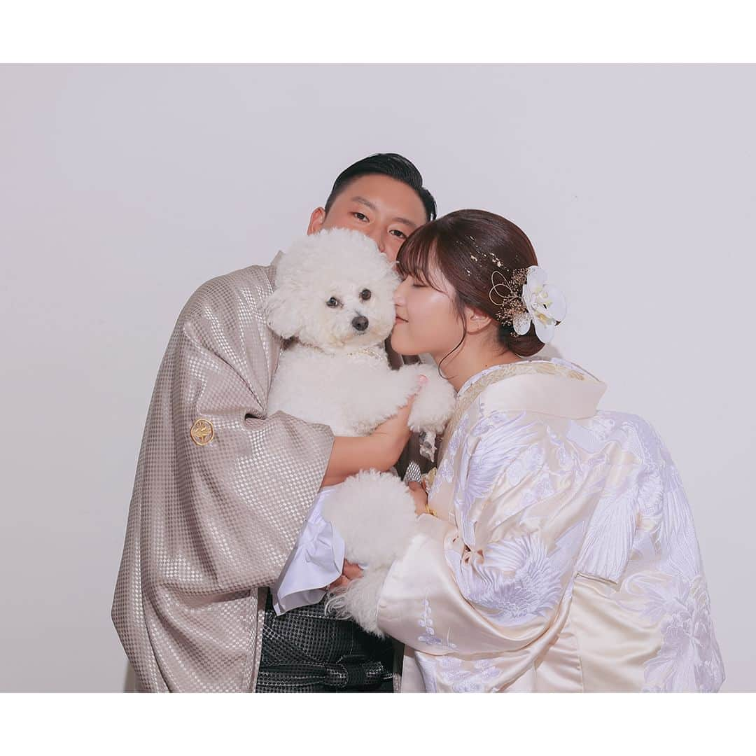 スタジオアクア浅草店さんのインスタグラム写真 - (スタジオアクア浅草店Instagram)「わんちゃんと一緒に🐶 浅草店はペット撮影OKです！  もふもふのビションフリーゼちゃんと一緒に撮影！ ご新郎様との正座の時、セクシーポーズになっていて可愛かったです😂❤️  - - - - - - - - - - - - - - - - - - - - - - - Photographer 📷 村上 舞 @zabu.deco.ph Hair and make up 💄 深戸 恵美子 @e.fukado.deco.hm  - - - - - - - - - - - - - - - - - - - - - - - スタジオアクア浅草店アカウント 👉 @studioaqua_asakusa デコルテフォトグループ公式アカウント 👉 @decollte_weddingphoto - - - - - - - - - - - - - - - - - - - - - - - #デコルテフォト #撮る結婚式 #屋内庭園スタジオ #屋内庭園 #和装 #和装前撮り #白無垢 #紋付袴 #和装コーディネート #d_weddingphoto #studioaqua #スタジオアクア #スタジオアクア浅草店 #ウェディングフォト #フォトウェディング #ブライダルフォト #ブライダルヘア #前撮り #後撮り #結婚写真 #ウェディング #プレ花嫁 #関東花嫁 #wedding #bridal #weddingphotography #weddingphotographer - - - - - - - - - - - - - - - - - - - - - - - フォトグラファー、ヘアメイク、フォトプランナー募集中！ @decollte_recruit」10月2日 13時44分 - studioaqua_asakusa