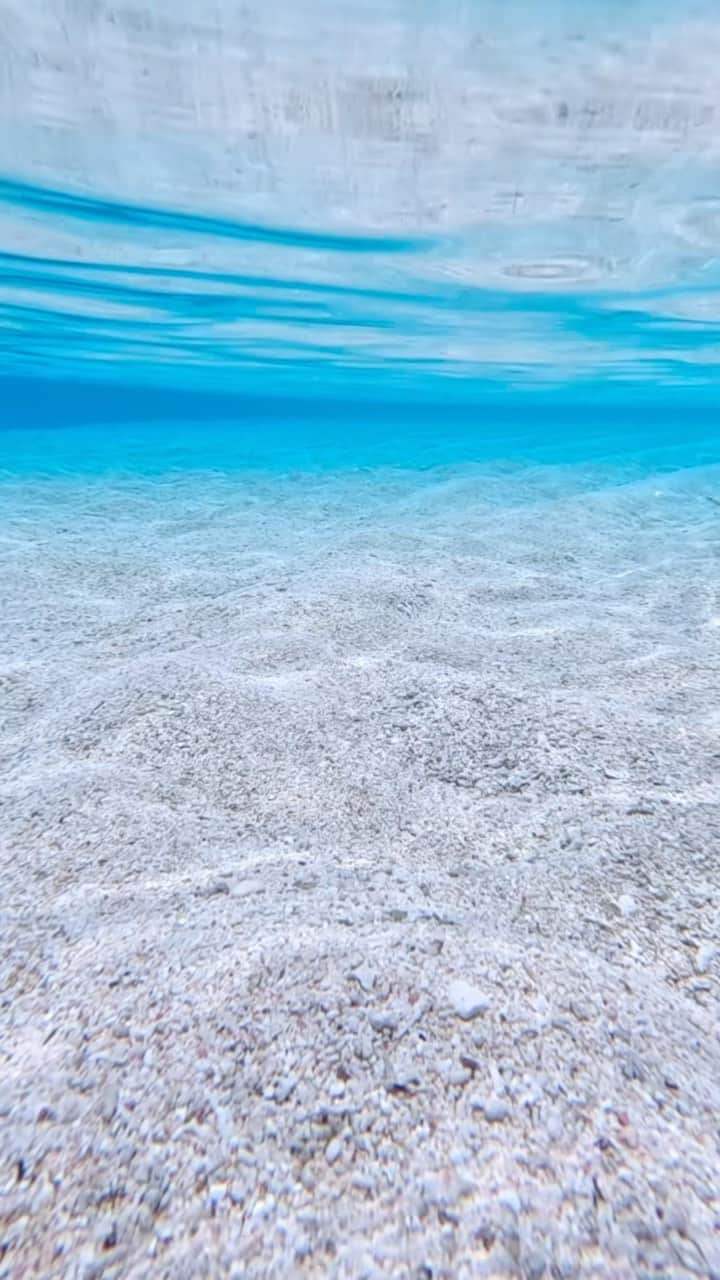 megumiのインスタグラム：「干潮30分前くらい、あともうちょっとで浜が出るというところの百合ケ浜。うるうるキラキラ💎✨  @goprojp  @gopro  #gopro #goproのある生活  　  #百合ケ浜  #凪　 #skindiving #スキンダイビング #underwater #水中写真  #与論島 #ヨロン #ヨロン島 #与論島観光 #yoronisland  #yoron  #ヨロンブルー #sandbar #islandlife #beachlife #シュノーケル #snorkeling #奄美諸島 #奄美群島 #離島旅 #離島 #鹿児島旅行 #沖縄旅行 #女子旅 #japantravel #japanisland」
