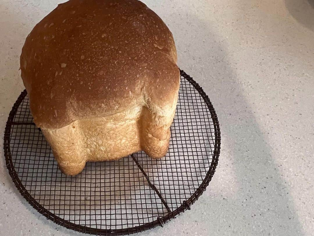 安田美沙子さんのインスタグラム写真 - (安田美沙子Instagram)「朝ごはんにパン作りました🍞  気温がいいのか、湿度がいいのか、膨らみ具合がすごい！  ふかふかくまさんパン。  今朝、目玉焼き🍳作ったらおくスペースなくて。。  ハムも半分に切って。。  結果的にくまさん🐻‍❄️になりました🤍  美味しかった♥️  #みさこクッキング #パン #ふかふか #至福のとき #食べるのは意外と難しい @four_o_five_405」10月2日 14時02分 - yasuda_misako