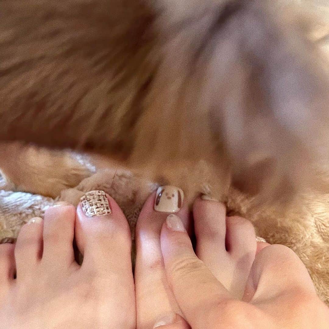 natsumiさんのインスタグラム写真 - (natsumiInstagram)「foot nail🐶🌰♡ ㅤㅤㅤㅤㅤㅤㅤㅤㅤㅤㅤㅤㅤ @a.l.u.m__rin  ツイードかわいい。。 ㅤㅤㅤㅤㅤㅤㅤㅤㅤㅤㅤㅤㅤ ㅤㅤㅤㅤㅤㅤㅤㅤㅤㅤㅤㅤㅤ ㅤㅤㅤㅤㅤㅤㅤㅤㅤㅤㅤㅤㅤ #ネイルデザイン #フットネイル #韓国ネイル #ツイードネイル」10月2日 14時05分 - iskw_ntm