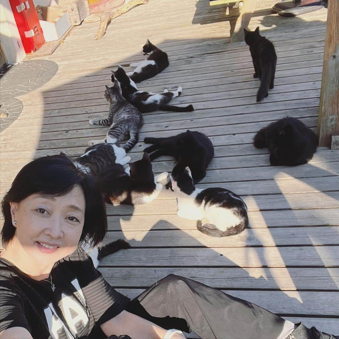 川上麻衣子さんのインスタグラム写真 - (川上麻衣子Instagram)「田代島。タッシーを探して！ 意外な結末はYouTube「川上麻衣子ねこと今日チャンネル」 で見てくださいね！  【まいネコ🐈】タック！田代島と川上麻衣子に意外な結末‼️ https://youtu.be/cMo-PgsXNWA」10月2日 14時46分 - kawakami.maiko