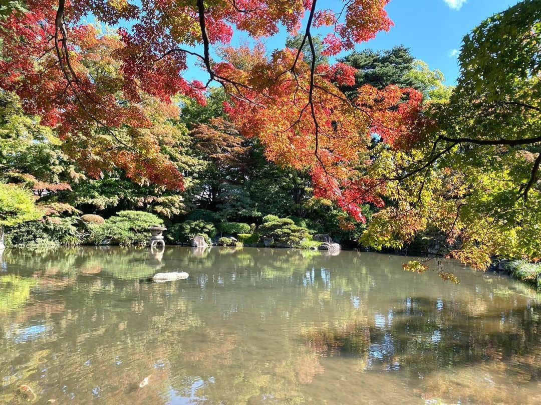 ホテルキャッスル　HOTEL CASTLEさんのインスタグラム写真 - (ホテルキャッスル　HOTEL CASTLEInstagram)「【もみじ公園（旧宝幢寺庭）】  ホテルキャッスルから車で3分、徒歩で15分ほどの距離にある《もみじ公園（旧宝幢寺庭）》は山形でも人気の紅葉スポットです。  池の周りを囲むようにたくさんのモミジやエノキ、ケヤキが並びこれからの時期は散策に訪れる方で賑わいます🍁  例年見頃は11月上旬〜中旬🍁  山形にお越しの際は是非お立ち寄りください💁‍♀️  ※入場は無料です ※画像は昨年の10月20日頃のものです  #ホテルキャッスル #ホテルキャッスル山形 #紅葉スポット #散策 #散策日和  #もみじ #紅葉 #モミジ #スタッフおすすめ #写真映え #写真映えスポット  #前撮りスポット #山形 #山形旅行 #山形観光  #紅葉公園  #もみじ公園 #🍁」10月2日 15時21分 - hotelcastle_yamagata