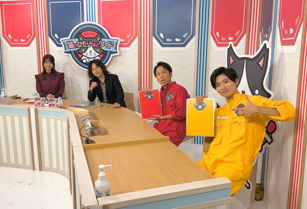 猫のひたいほどワイドのグルメインスタ