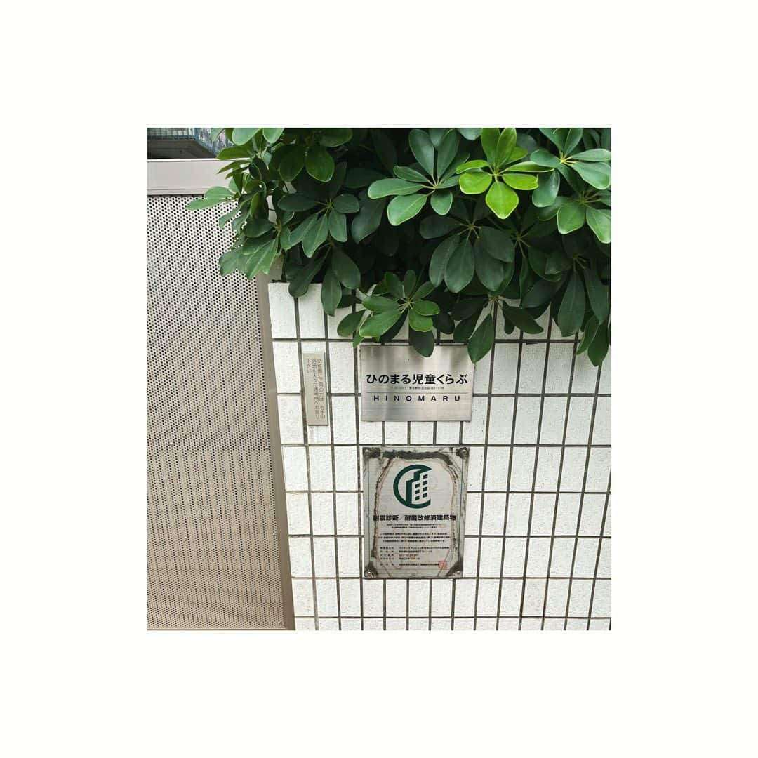journaleatripさんのインスタグラム写真 - (journaleatripInstagram)「. . 2023.October  昨日は八重洲ブックセンター荻窪店で 本の出版トークイベントでした。 お越し頂いたみなさま有難うございました。 帰り荻窪駅の周りを少しあるいたら ある道に入ったとたん、"ここ知っている?!" というような記憶の匂いがふわんと漂ってきました。もしやと思い帰り注意深くあるくと、 や・は・り、建物はすっかり様変わりしていたけれども通っていた幼稚園の道でした。 景色は匂いでも覚えられるのだなぁ。 そんな秋の始まり。  煮込みがやっと似合う季節  @tobikiri_oishii  @gainenhoshino   #とびきりおいしいおうちごはん  #星野概念 #こころをそのまま感じられたら #パプリカ煮込み」10月2日 15時38分 - eatripjournal