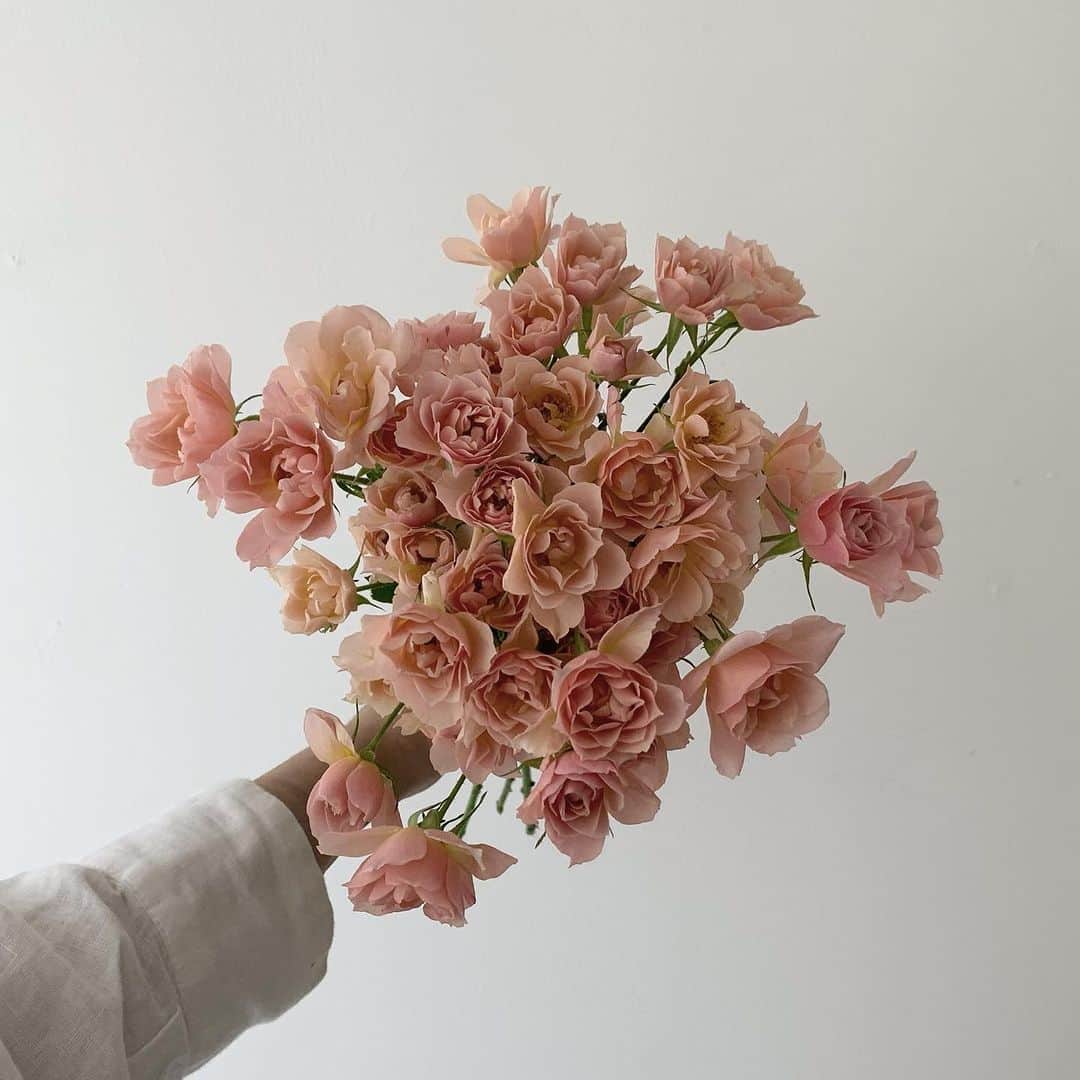플로리스트 이주연 florist Lee Ju Yeonのインスタグラム：「. . rose 🫶🏻 . 바네스플라워 VANESS FLOWER . Katalk 채널 바네스플라워  kakao ID vaness52  E-mail vanessflower@naver.com . Paypal payment possible . 서울시 중구 청파로464 브라운스톤서울 101동2806호 📞02-545-6813」