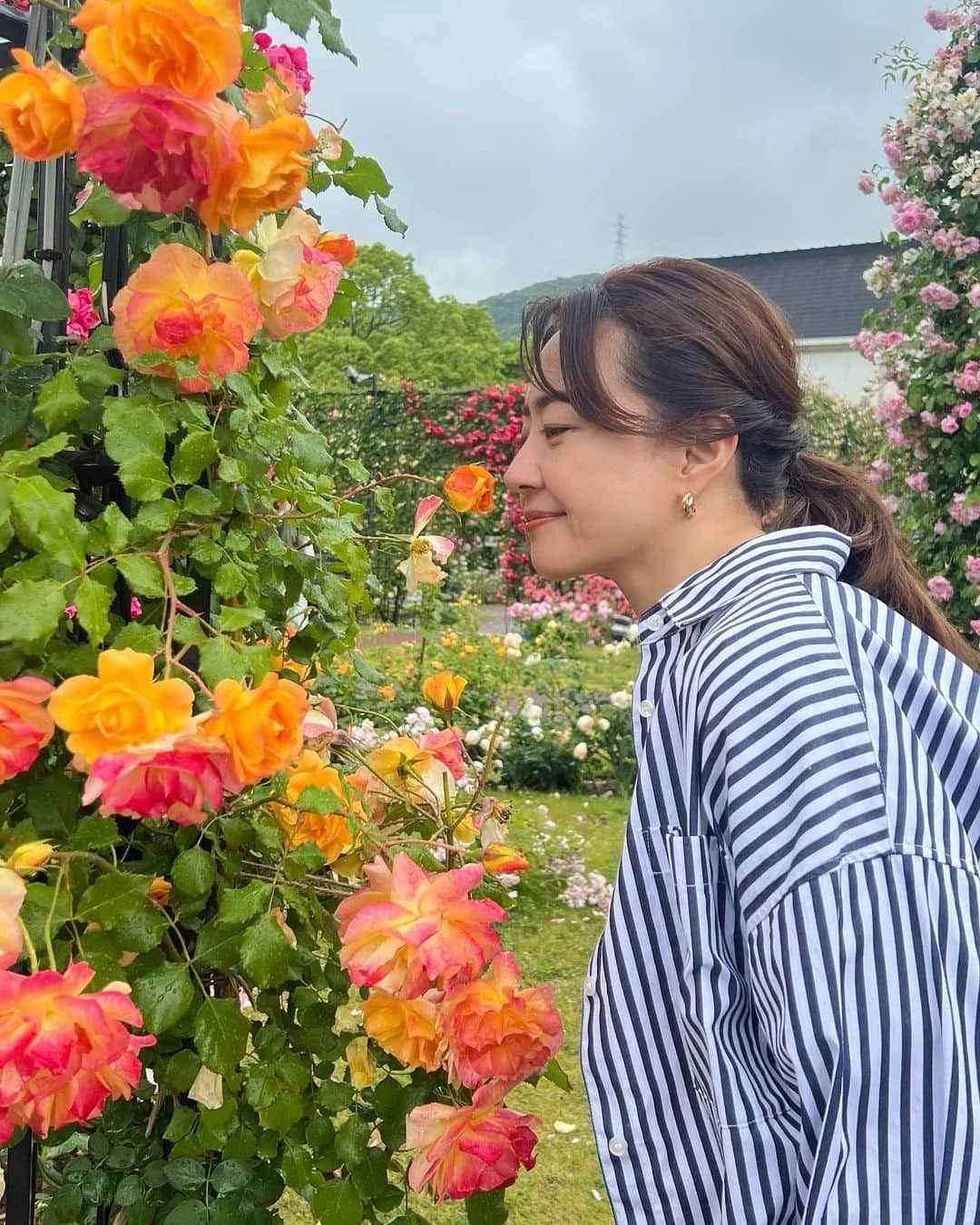 吉竹史のインスタグラム：「ハウステンボス内は様々なお花🌸の香りを濃く感じられました！  香水の人工的ではない、何百本と集まった天然のローズの香り✨  九州ではお馴染みの場所ですが、九州以外の方は行ったことない方もいらっしゃるかも？？ぜひ！四季折々の花、映え写真はもちろん、大人が楽しめるテーマパークです✨  #全国百線鉄道の旅 #ハウステンボス　#鉄道旅」