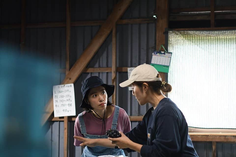 菅野広恵さんのインスタグラム写真 - (菅野広恵Instagram)「スチューベンの選果作業を教えて頂き🍇 細かい作業で、かなり真剣な顔をしておりますw （スチューベンの選果とは、収穫した後に、粒が落ちそうな所はないか？潰れてしまいそうな所はないか？状態はどうか？を収穫する時にもチェックはするけど、再度じっくりチェックする事）  選果作業は本当ーーーに 神経を使いますw 見逃し１つで、お客様の所に届いた時に… と思うと、よりじっくりチェックしなきゃ と思う気持ち😣  そして、落ちそうな粒を　発見した時には 取り除き、綺麗に 粒揃えをする 大変、大変細かい作業‼️ しかも、ぶどうって粒が詰まってるので 見にくかったり、 取り除く時に 隣の粒を傷めてしまったら、本来は A品のものでも、家庭用や、加工品用に なってしまう事もある😭。  美味しさには変わりないのにね😣 大切に育てた時間も変わりないのにね😣  --- 私たちが、綺麗✨美味しい😋 と普通に食べている果物には 人の手が実は、 すごーくすごーーーく加わり 出来ている有り難さ 身に染みまます😭🍇 ---  投稿写真の後半に、スチューベンを持って ニッコリの写真を載せてますが 農家さんにとっては 収穫した後もまだニッコリではなく 気は抜けないことなんだなと 体験し、実感しました。  綺麗な果物 美味しい果物 旬の果物 が食べれるのは 「農家の裏側」 があるからこそ。  綺麗な写真は多いけど、 1番頑張ってる部分の 農家の裏側ってまだまだ 知られてない事も多い だからこそ、これからも 発信していきたい🧑‍🌾👩‍🌾  ---- 紅楓庵いとうファームさんの スチューベンセットは 1日限定にはなりますが 再販で本日10月2日 だけ @vegetaiment にて承り中です🍇  ---  写真 @vegetaiment 専属 農業カメラマン @photos_by_ayablossom   #農家の裏側　#農家あるある　#農業女子  #農業インスタグラム  #農家応援　#スチューベン　#食育　#食育活動  #果物大好き  #果物好きな人と繋がりたい  #野菜ソムリエ　#野菜ソムリエプロ」10月2日 15時59分 - hiroesugano