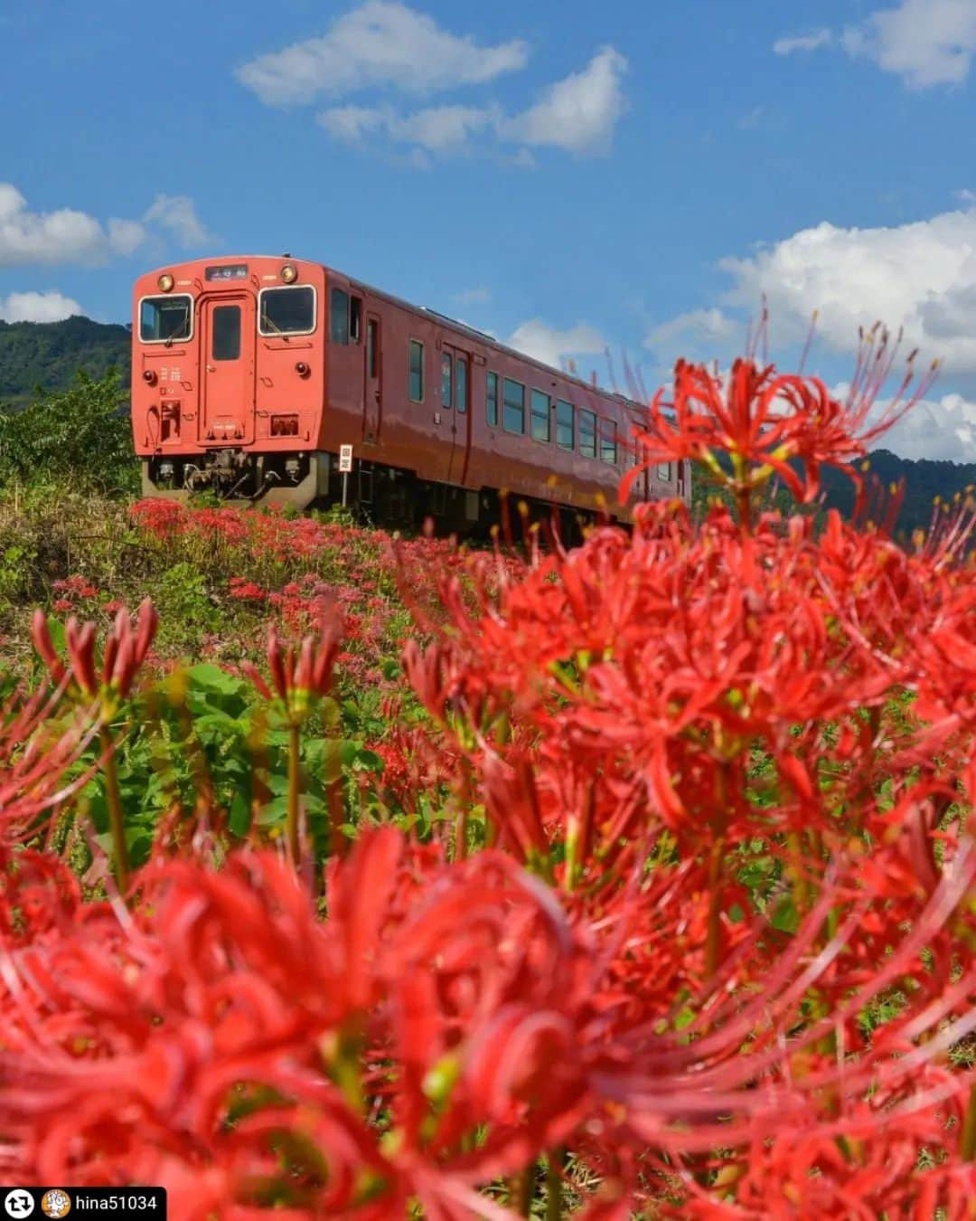 兵庫県のインスタグラム