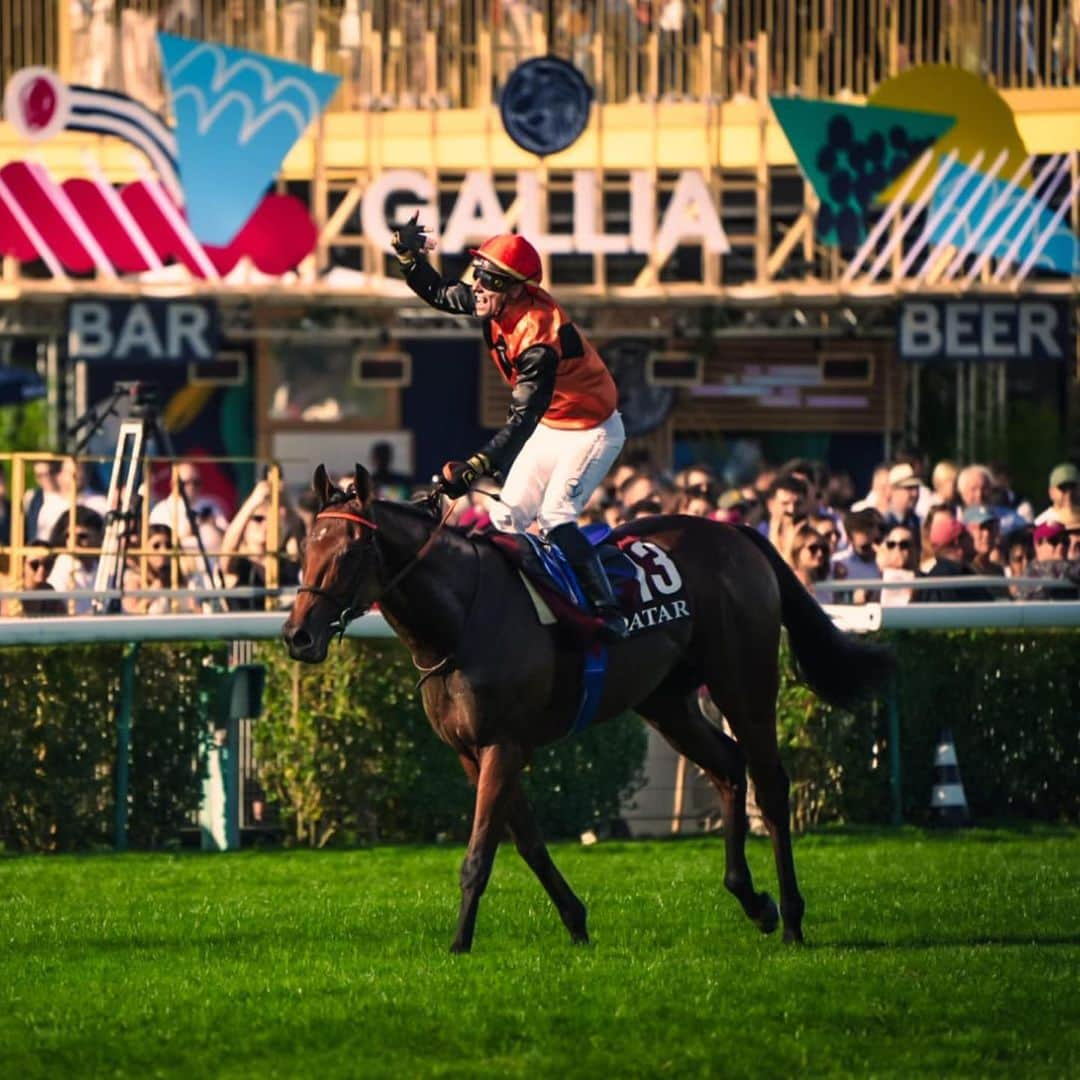 ロベール・ピレスさんのインスタグラム写真 - (ロベール・ピレスInstagram)「La finale de la coupe du monde hippique restera un événement mémorable pour moi 🤩  J’ai vibré et re découvert ce monde que j’apprécie tant. Merci à @FranceGalop pour cette expérience lors du #Qatar Prix de l’Arc de Triomphe !  #QPAT」10月3日 1時36分 - robert_pires07