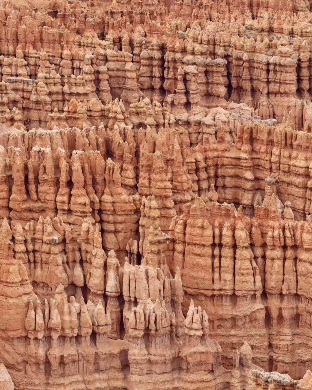 メッテ・グラスゴワールさんのインスタグラム写真 - (メッテ・グラスゴワールInstagram)「Bryce Canyon, Capitol Reef og et lille glip af Utah's smukke landskab. Utah har så mange forskellige bjergarter at landskabet hele tiden ændre sig 🙌 #usaroadtrip #utah」10月3日 2時00分 - mette_graversgaard