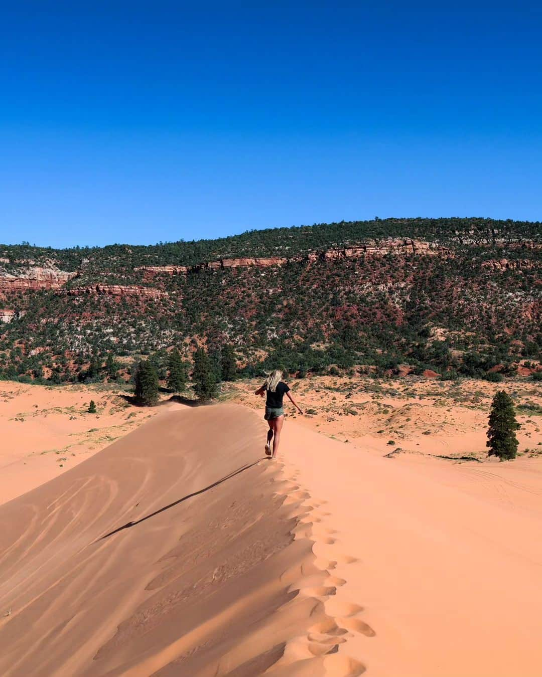 メッテ・グラスゴワールさんのインスタグラム写真 - (メッテ・グラスゴワールInstagram)「Bryce Canyon, Capitol Reef og et lille glip af Utah's smukke landskab. Utah har så mange forskellige bjergarter at landskabet hele tiden ændre sig 🙌 #usaroadtrip #utah」10月3日 2時00分 - mette_graversgaard