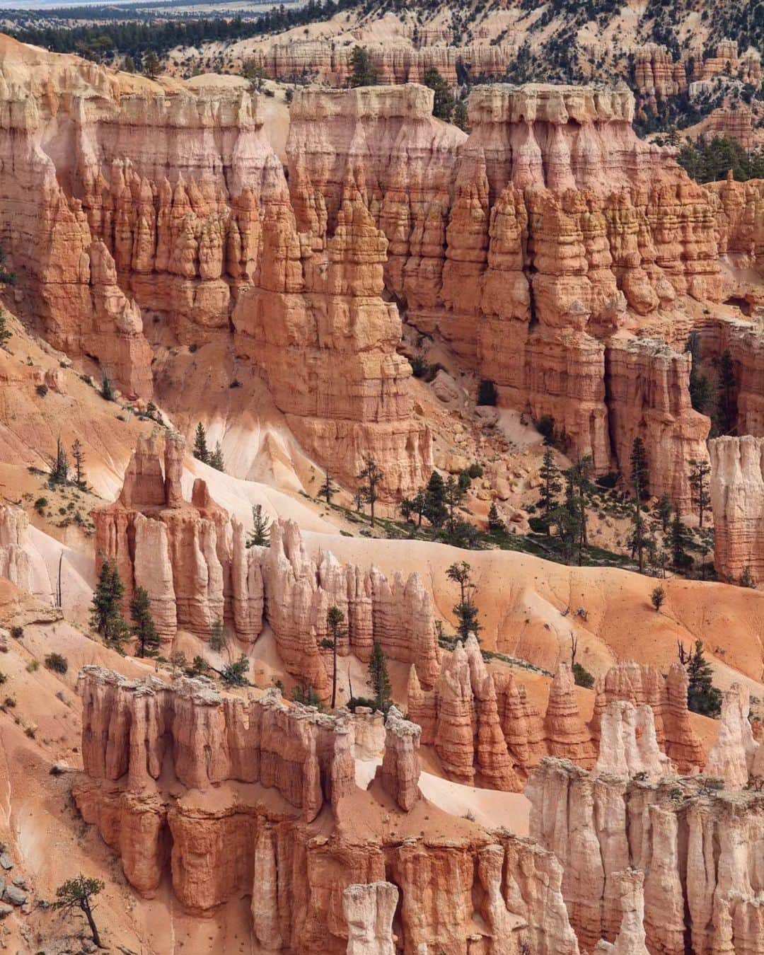 メッテ・グラスゴワールさんのインスタグラム写真 - (メッテ・グラスゴワールInstagram)「Bryce Canyon, Capitol Reef og et lille glip af Utah's smukke landskab. Utah har så mange forskellige bjergarter at landskabet hele tiden ændre sig 🙌 #usaroadtrip #utah」10月3日 2時00分 - mette_graversgaard