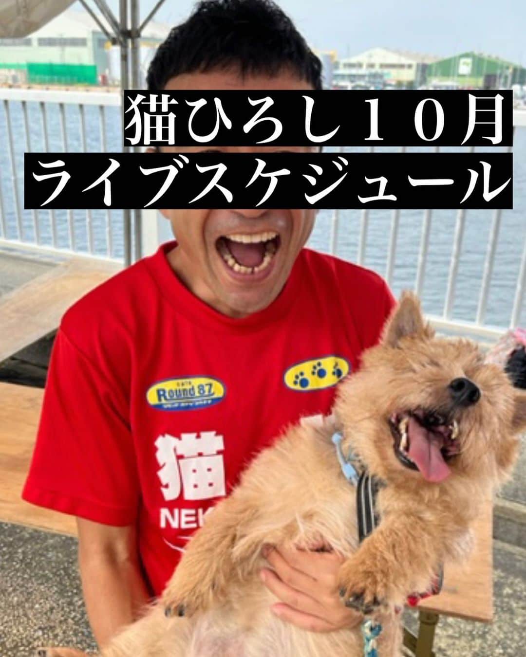 猫ひろしのインスタグラム