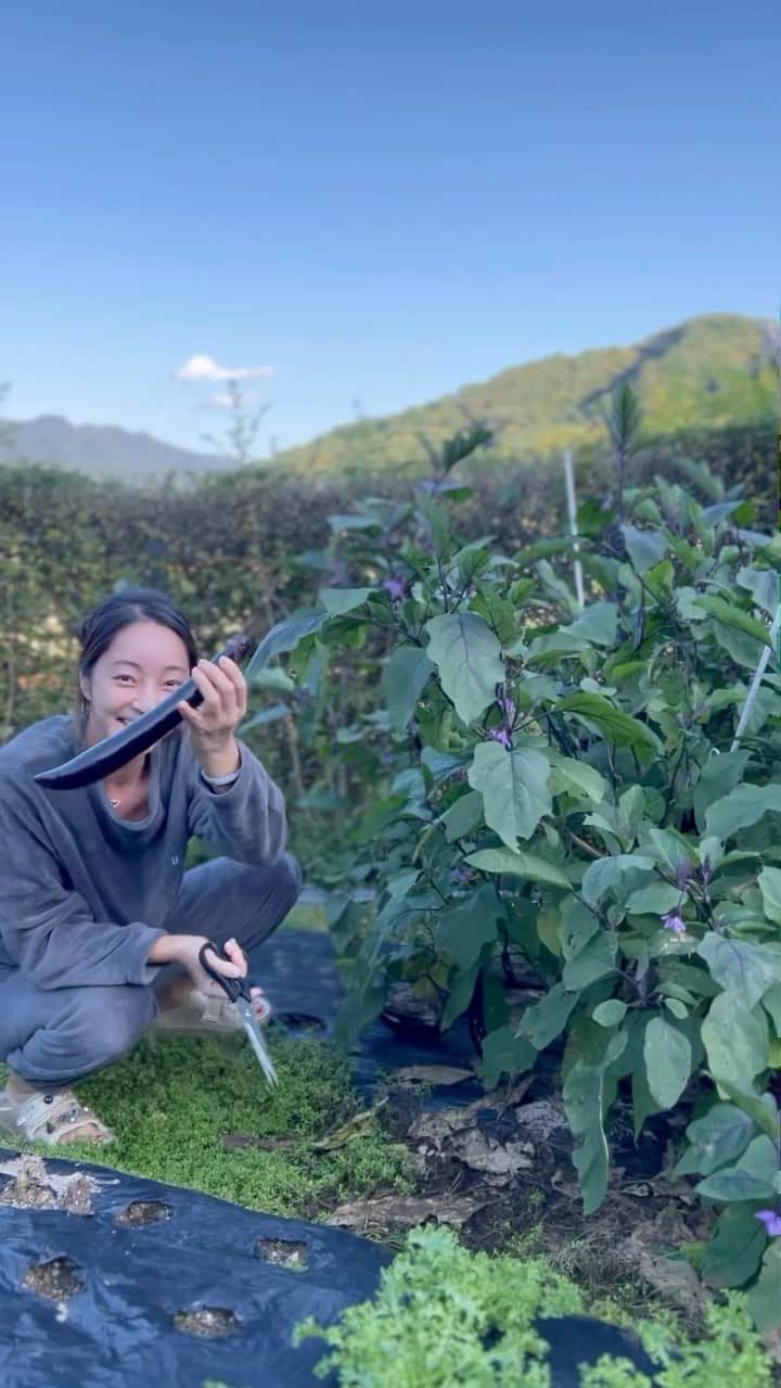 のインスタグラム：「가평에서의 하루 일과😆🍆」