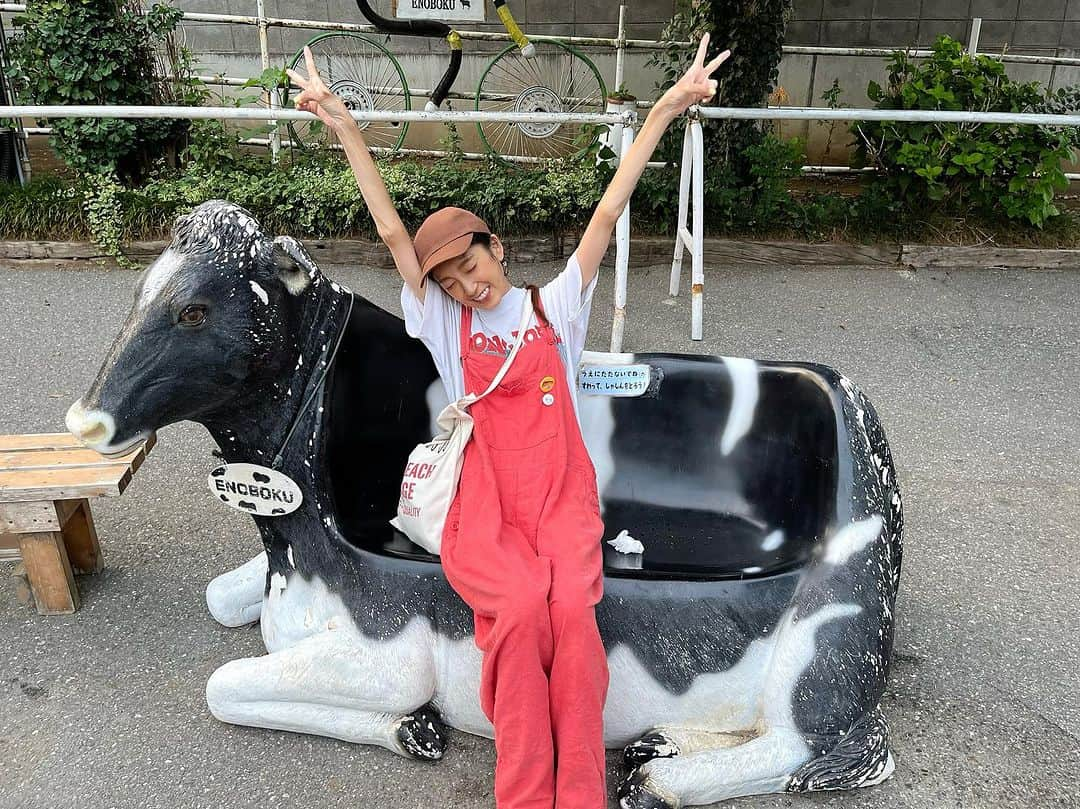 高橋真依子のインスタグラム：「ついこないだ、 会う度、 毎回優しいパイセン友人が  🐮牧場🐮へ連れ出してくれたの♪♪ 久々に自然な場所に来ましたの😉🍀  しかも馬ぢゃなくて🐮牛さんメイン笑笑  クチャいけど、可愛かったし めちゃくちゃ美味しいジェラート🍨も食べた♪  私は 黒胡麻ちゃん🥰  牧場だからサロペットにしてみたり  看板とかなんかLos Angelesを思い出してみたり、色々と自然に囲まれて癒された日でした😌🌱  みんなカメラ目線❤️ 首かくにきゅん♡ アヒルちゃんの  なーに撮ってんだよって顔が中々好き笑笑  #牧場 #牛さん #豚さん #アヒルたん #お気に画 #毎回ありがたいんです #お土産に別の味のアイスも買った」