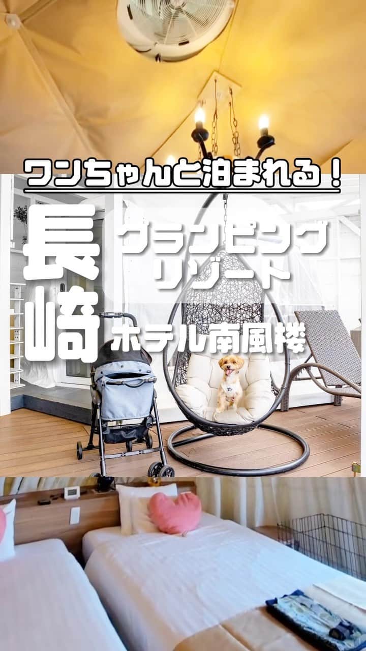 ホテル南風楼のインスタグラム：「『オリーブテラス グランピング島原』にワンちゃんも宿泊できるようになりました🐶  1日1組限定です‼️  ご夕食はBBQをご用意、係がテント横の専用席までお食事をお持ち致します。  テントの中にはベッドはもちろんエアコンも完備！  ワンちゃんアメニティもお入れしてますので、快適グランピングを体験して下さい！  完全貸切なので、ワンちゃんとご一緒にごゆっくりお過ごしください✨  　  ――――――――――――――― . ◇ご予約・お問い合わせ◇ 0957-62-5111 （受付時間 9：00〜18：00） ・ ◆#ホテル南風楼  と付けて投稿すると、こちらの アカウントなどで紹介させていただくことがございます。 ・  ・ ◇お知らせ◇ ホテル南風楼では素敵なウェディング会場もございます。 ウェディング公式Instagramアカウントです。 →@hotel_nampuro_wedding  ぜひご覧ください。 ・  ・ ―――――――――――――――――――― ・ .  #グランピング  #島原温泉  #ベルテント  #長崎県 #島原市 #長崎グランピング  #長崎旅行 #長崎ホテル #nagasaki #愛犬と旅行  #japanhotel #九州旅行 #nagasakitrip #nagasakihotel #kyushutrip #長崎ホテル #ワンちゃんと旅行 #愛犬とグランピング #ワンちゃんとグランピング #グランピングリゾート」