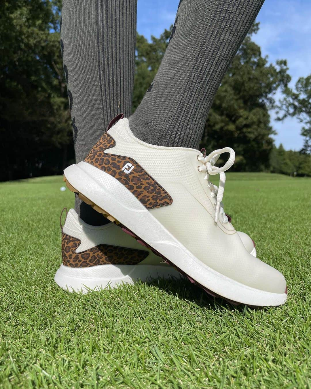 ISHIIYUKIKOさんのインスタグラム写真 - (ISHIIYUKIKOInstagram)「秋らしくなってきたので靴も秋らしく🥰　@footjoy.japan   ちょいヒョウ柄可愛い❤️ 既にヘビロテ👍  #pr #ゴルフ #ゴルフ女子 #golf #golfgirls  #골프 #골프스타그램  #高尔夫 #golfswing  #ゴルフウェア #ゴルフコーデ #ゴルフアパレル #フットジョイ #footjoy」10月2日 18時25分 - ishii_yukiko