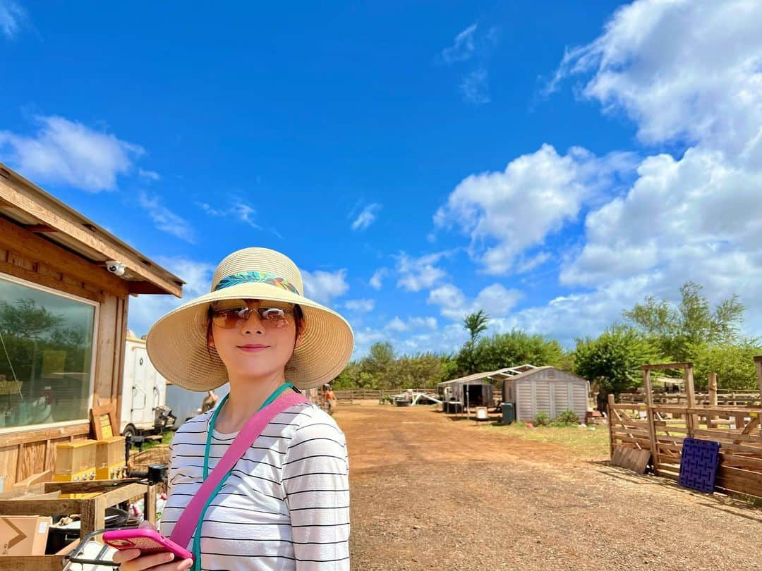 MIYUさんのインスタグラム写真 - (MIYUInstagram)「Hawaiiでの1日🐎🐶☕️🍨🌊🌺✨✨」10月2日 18時19分 - miyuasmr