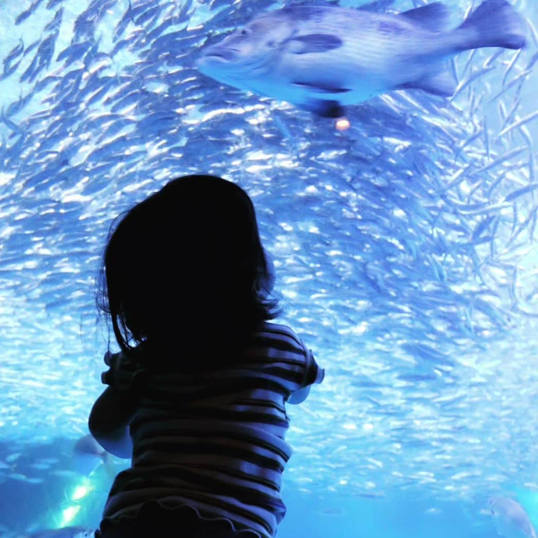門倉貴史のインスタグラム：「横浜・八景島シーパラダイス🐬の水族館を楽しむ娘☺ 白イルカ（ベルーガ）最高❗❗  イエーイ😘🤓イエーイ😘🤓イエーイ😘🤓  #八景島シーパラダイス  #あかちゃんのいる生活」
