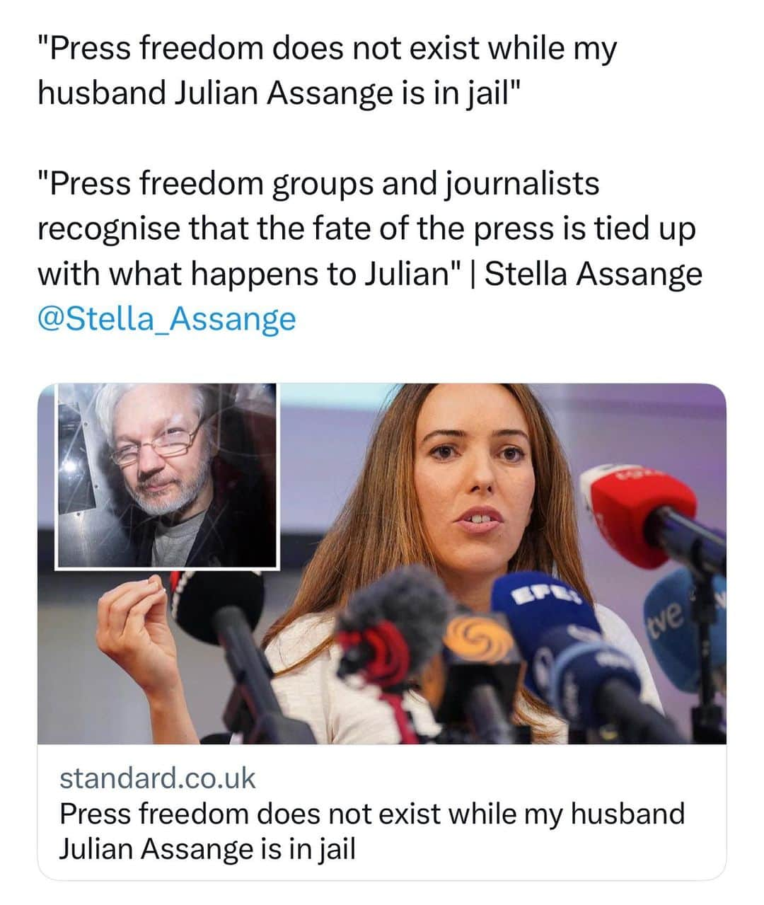 WikiLeaksのインスタグラム：「@stellaassange」