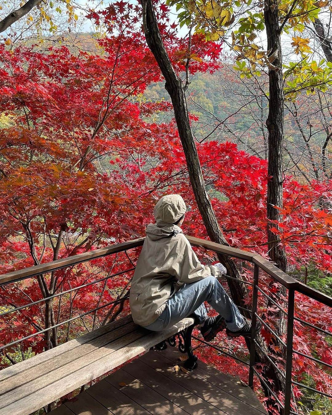 アシアナ航空日本地域公式アカウントさんのインスタグラム写真 - (アシアナ航空日本地域公式アカウントInstagram)「𝑯𝒘𝒂𝒅𝒂𝒎𝒔𝒖𝒑 （ファダムスプ）🍂  ┈┈┈┈┈┈┈┈┈┈ 一面真っ赤な紅葉を楽しめる和談の森「ファダムスプ」  約4,300種類もの植物を見ることができ 紅葉の時期は、幻想的な雰囲気を体感することができます。  モノレールに乗って大自然を眺めるのもおすすめ！  📸 @__miniim  ┈┈┈┈┈┈┈┈┈┈   #アシアナ航空 #アシアナ #ASIANA #asianaair #asianaairline #OZ #Flyasiana #韓国 #korea #韓国旅行 #✈️#ファダムスプ #和談の森 #モノレール #ソウル紅葉 #紅葉」10月2日 19時00分 - asiana.jp_official