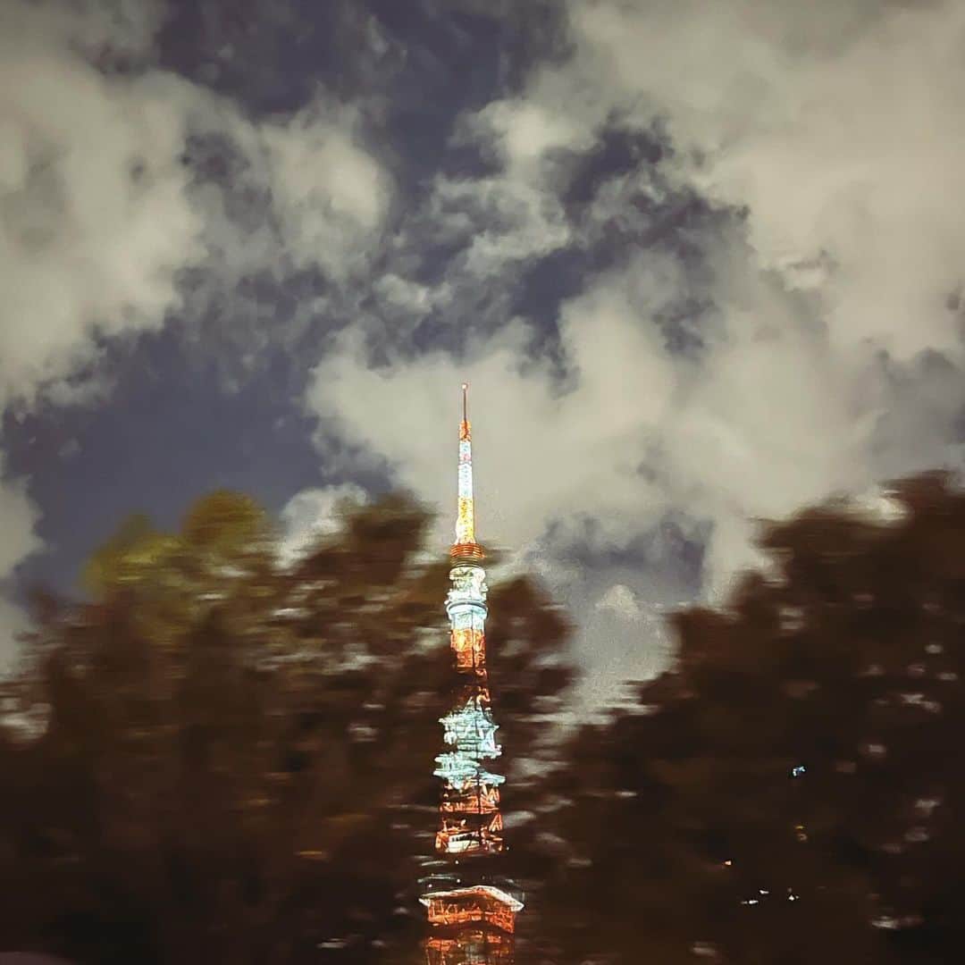 タイナカ彩智のインスタグラム：「東京、森。 囲まれている、安心感。  作られたものと、あるがままのものだけれど、人が本気で作るのは、あるがままにするためのような気もして。  街の進化と共に、東京の木々が残りますように。🌳🗼」
