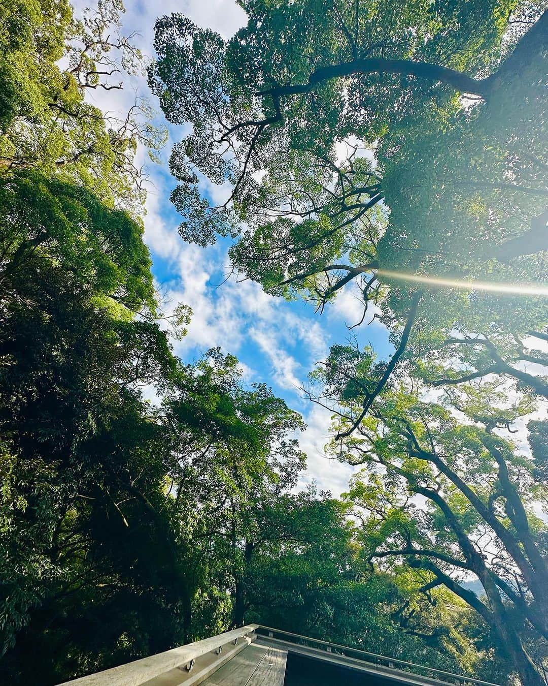 秋吉織栄（宮内かれん）さんのインスタグラム写真 - (秋吉織栄（宮内かれん）Instagram)「🍂🤎🌰🎃🧡  旅、よし！ 食べ、よし！ 飲み、よし！  秋、よし！！！笑  思いっきり楽しんで、思いっきり仕事して 短い秋を思いっきり感じて🍂✨✨  10月もよろしくお願いします♡  #食欲の秋吉 #秋吉 #秋の味覚  #いただきます   #神社 #神社巡り  #来宮神社 #熱海　 #selfie #photooftheday #japan #beautifulflower  #trip #travel #trending」10月2日 19時15分 - orie.oliiiiie.olivia