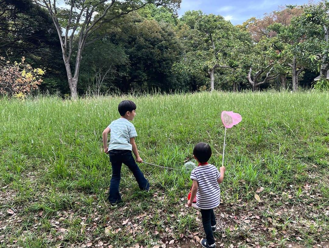 安田美沙子さんのインスタグラム写真 - (安田美沙子Instagram)「お迎え後に少し時間があったので公園へ。。。  秋色になってたね🤍  2人は、仲の良さもすごいけど、喧嘩もはげしいし、毎日賑やかです。  体力ありあまる男子。。。  2人の成長度合いが違うから 2人の関係性が日々変わる。  親が入れない絆があるんだろうなぁ。。  喧嘩をしても、しばらくは静観。ふたりでどうするのかこっそり伺ってます。  どっちも全然違っておもしろいな🤍  #brothers #虫取り #公園 #秋 #仲良し #たまに喧嘩」10月2日 19時21分 - yasuda_misako