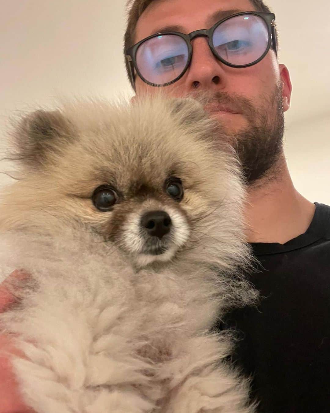 ベン・デイヴィスさんのインスタグラム写真 - (ベン・デイヴィスInstagram)「A huge thank you to everyone who helped us find our dog.. here’s a post dedicated to Twiggy🫶🏻」10月2日 19時24分 - bendavies33