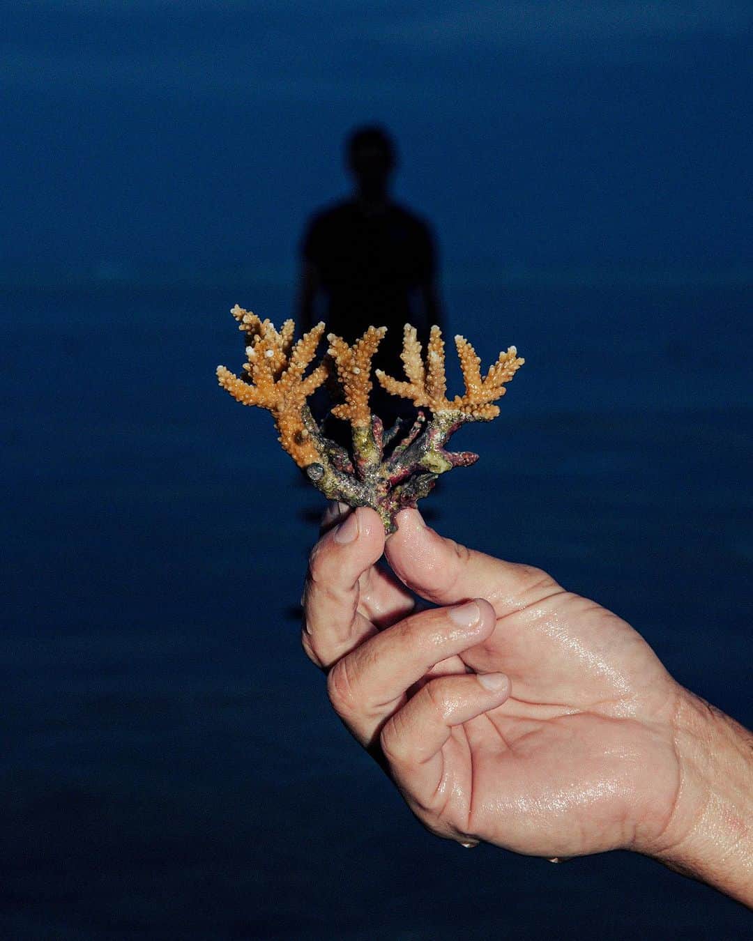 ケイウェイさんのインスタグラム写真 - (ケイウェイInstagram)「An experience with the aim of revolutionize ocean conservation and create a global mouvement to save the world's coral reefs.            Direction and photography: @achillemauri.eu  Starring: @cavalligiacomo Production: @claudia_decaro Local video assistant: Ryan Borne and Noé langronier Video Soundtrack: @cem3340cem3340 Graphic Identity, post production: @genera.live   #KWAY」10月2日 19時42分 - kway_official