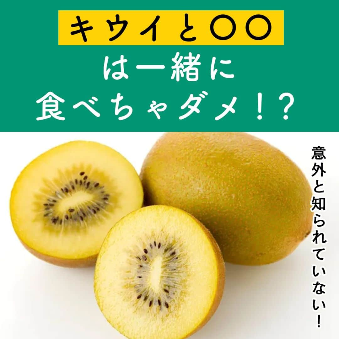 サンキュ！編集部のインスタグラム：「～ 意外と知られていない！ キウイと〇〇は一緒に食べちゃダメ⁉ ～ ＠39_editors  「キウイフルーツにはレモンよりもビタミンCが多い」という話は聞いたことがあるでしょうか😍？  またキウイフルーツは組み合わせる食品によって、食べにくくなることもあるんだとか💦  管理栄養士と食生活アドバイザーの資格を持つライターのゆかりさんに、キウイフルーツをおすすめする理由やキウイフルーツと相性のよくない食品について紹介してもらいます🙌  ーーーーーーーーーーーーーーーーーーーーー サンキュ！では素敵な暮らしを営むおうちや工夫をご紹介していきます。 ぜひフォローしてください。 @39_editors⠀⠀⠀⠀⠀⠀⠀⠀⠀⠀⠀⠀⠀⠀⠀⠀⠀⠀⠀⠀⠀⠀⠀⠀⠀⠀​ ーーーーーーーーーーーーーーーーーーーーー  〈教えてくれた人〉 管理栄養士・ゆかりさん 管理栄養士、食生活アドバイザー。一女のママで出張料理、料理教室、講演、栄養相談も手掛けるほか、ライターとしても活動。  #フルーツ #キウイ #キウイフルーツ #ビタミン #ビタミンC #ビタミンE #食べ合わせ #栄養 #栄養素 #乳製品 #ヨーグルト #牛乳 #健康 #健康管理 #管理栄養士 #栄養士 #食生活 #朝ごはん #朝食」