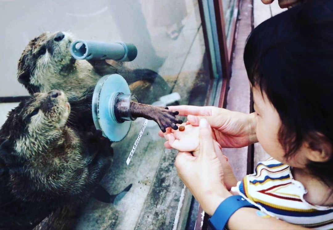 門倉貴史さんのインスタグラム写真 - (門倉貴史Instagram)「白イルカのショーを見て、カワウソにエサをあげる娘＠八景島シーパラダイス  イエーイ😘🤓イエーイ😘🤓イエーイ😘🤓  #八景島シーパラダイス #白イルカ　 #カワウソ #あかちゃんのいる生活」10月2日 20時37分 - takashikadokura