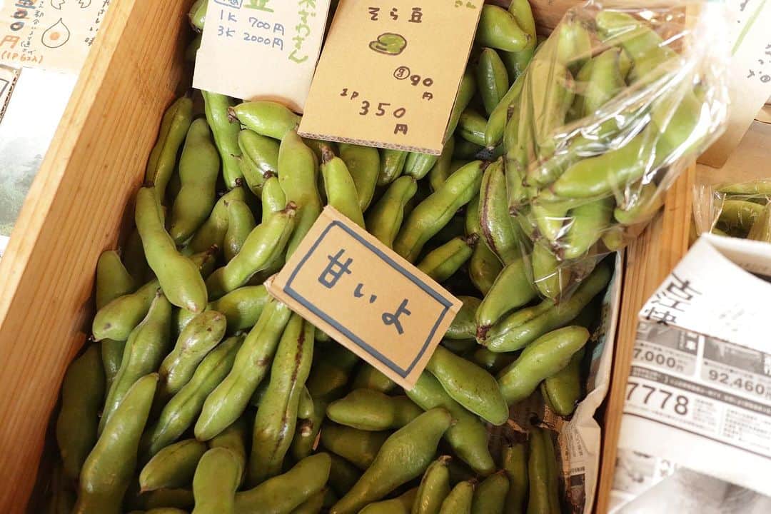 naoko tawaraさんのインスタグラム写真 - (naoko tawaraInstagram)「レンバイ @o_renbai @foodorchestra_   paperCにオーガニック連売所“レンバイ”についてのレポート記事を書きました。 ——————— REPORT | 本質的な食を届ける生産者、そして求める人々が集う 「オーガニック連売所“レンバイ”」 https://paperc.info/on-site/report-renbai ——————— ご協力いただいたレンバイのみなさま、FOOD ORCHESTRAの大植さんありがとうございました◎  毎週火曜日に東天下茶屋にあるFOOD ORCHESTRAさんで開催しているレンバイ。「大阪とその周辺都市で、独立系の八百屋が集まることで、オーガニックの新しい流通の仕組みをつくれないか？」という想いからはじまり、現在は五ふしの草さん、オガクロさん、honey beeさん、MiKAN屋さんの小さな農家とのつながりを大切にした野菜を扱う4つの八百屋さんと、FOOD ORCHESTRAさん、マエムキスーツさん、みくり食堂さんの3つのお店を中心に活動されています。 レンバイ当日は、農薬、化学肥料、除草剤を使用せずに育った生き生きしたお野菜やこだわりのグローサリーがずらり。その時期の旬を知って、おいしい食べ方や農家さんや作り手さんの想いをレンバイメンバーから教えてもらえる学びのある場所です。 単発のイベントではなく、継続してされていることで、毎週いけばみなさんに会える安心感があり、「オーガニック」という言葉に敷居を高く感じる人や関心がない人もいらっしゃると思いますが、みなさんの柔らかく和気藹々とした空気は、誰に対しても開かれたマーケットであることを感じてます。 みなさんもぜひ一度遊びにいって、レンバイの空気や想いに触れてほしいです。  #オーガニック連売所 #レンバイ #ハニービー #めぐる八百屋オガクロ #MiKAN屋 #フードオーケストラ　#FOODORCHESTRA #マエムキスーツ #みくり食堂 #renbai #五ふしの草 #paperC #オーガニック #organic」10月2日 20時53分 - noknok705