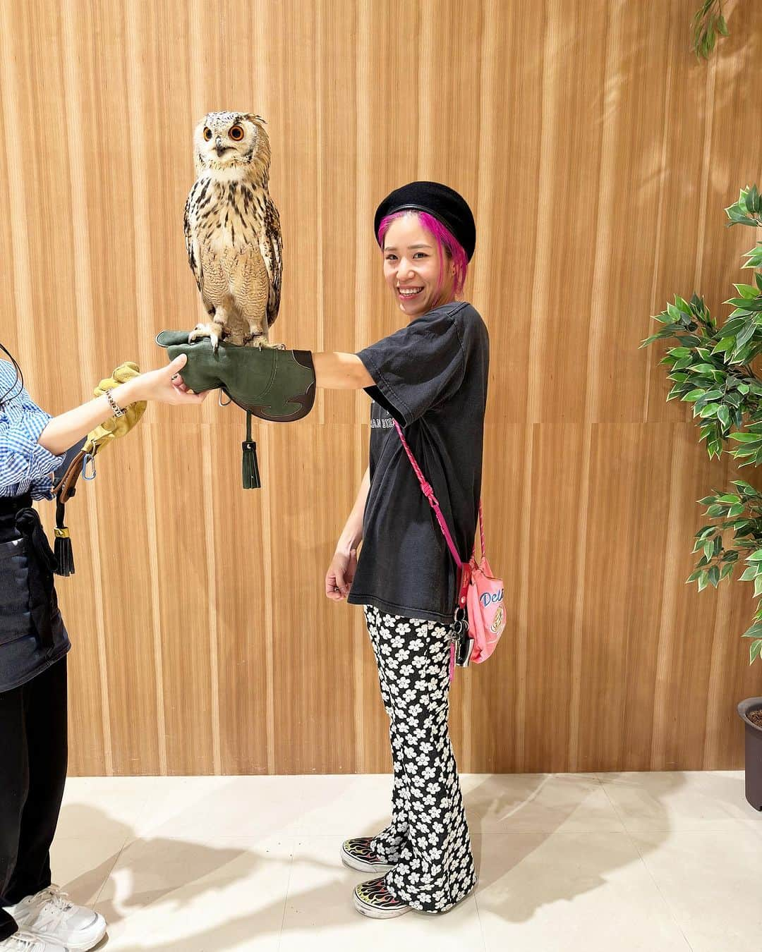 あやぺたのインスタグラム：「あたらしいともだち🦉」