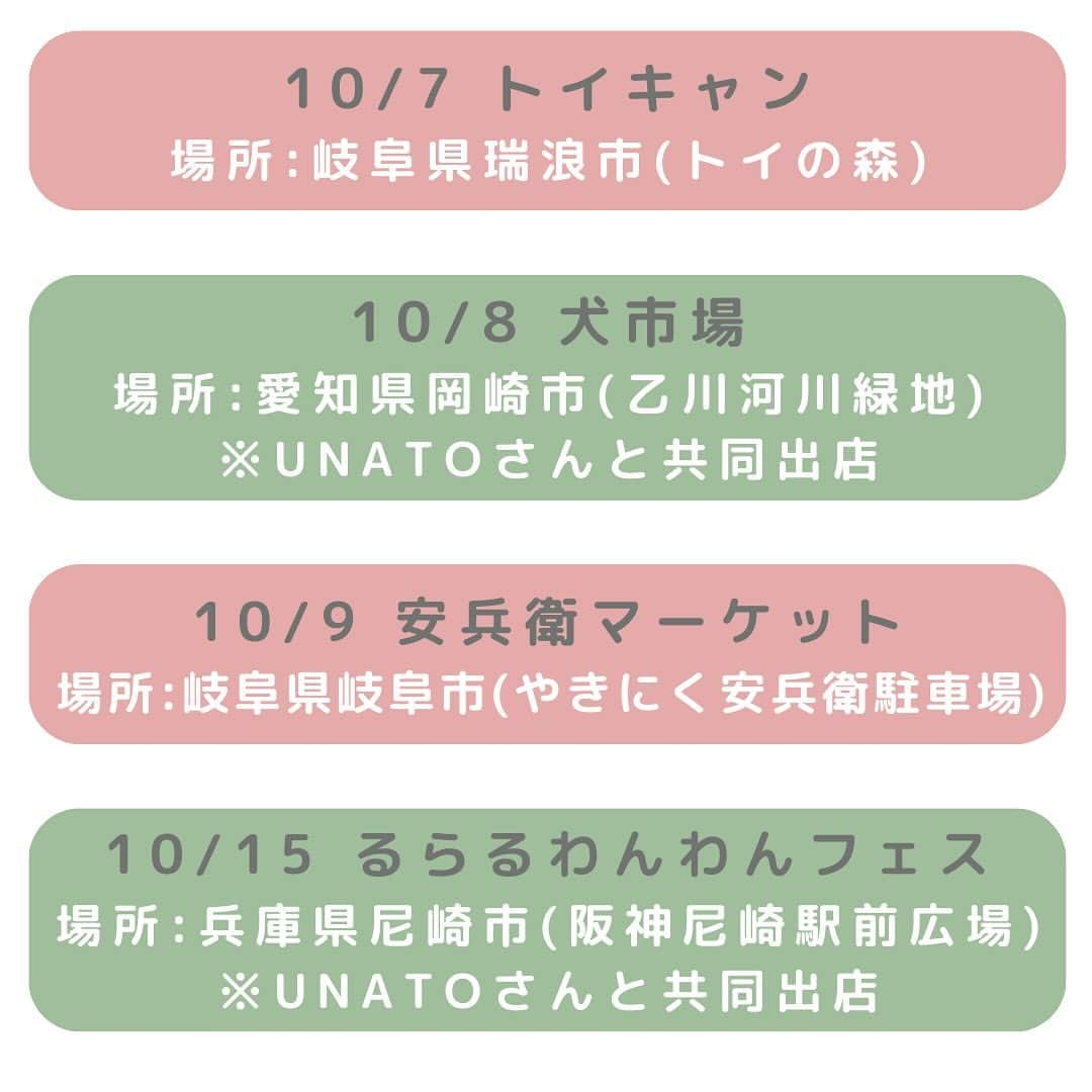 清水香澄さんのインスタグラム写真 - (清水香澄Instagram)「. あっという間に夏が終わり１０月スタート🍂 イベントが多い秋がやってきましたー！ イヌベジもたくさんのイベントに出店が決まってます🐶🥕  東海地区だけでなく、 関西方面、関東方面の出店もあるので ぜひお近くの方は遊びにきてねー🥰  イベント出店ではイヌベジの 鹿、サバ、鶏肉、鮎はもちろん♪ 鹿肉ジャーキー🦌 人間と一緒に食べられるクッキーやボーロ🍪 郡上の天然木材を使用したフードボウル🥣 などの販売もあります❣️  ウナギの頭のおやつが大人気🐟 @unato_hirono さんとの 共同出店もあります♪  詳しい内容はイベントのアカウントをチェック✅ イヌベジに関する質問等は イヌベジのアカウントにDMしてくださいね！  10/7 トイキャン @toy_factory_official  場所:岐阜県瑞浪市(トイの森)  10/8 犬市場 場所:愛知県岡崎市(乙川河川緑地) @wans.team  ※UNATOさんと共同出店  10/9 安兵衛マーケット 場所:岐阜県岐阜市(やきにく安兵衛駐車場) @yasubei.nagara  @ba_na_na_110   10/15 るらるわんわんフェス @rural.market00  場所:兵庫県尼崎市(阪神尼崎駅前広場) ※UNATOさんと共同出店  10/21 ワンデイドッグフェス @dogfes.oneday  場所:愛知県西尾市(道の駅にしお岡ノ山) ※UNATOさんと共同出店  10/22 わんてらす @wan.terrace  場所:静岡県島田市(川越イベント広場) ※UNATOさんと共同出店  10/29 ワンナビわんこオフ会 @wannavi.tokyo  場所:東京都港区(SHIBAURA HOUSE)  11/3&4 お犬祭り @matsuriba_toyota  @hachi8eightdesign  場所:愛知県豊田市(MATSURIBA)  11/5 Chowdyドッグマルシェ @chowdy_noritake  場所:岐阜県岐阜市(Chowdy)  11/11&12 フィールドスタイル @fieldstyle_official  場所:AICHI SKY EXPO  #犬イベント #愛知犬 #岐阜犬 #静岡犬 #兵庫犬 #犬イベント情報」10月2日 21時38分 - kasumin_0107