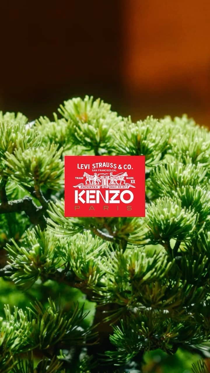 Levi’sのインスタグラム：「KENZO x Levi’s®. Launching October 04.」