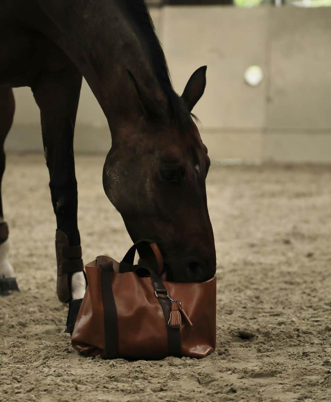 ISHIDAKOTONEのインスタグラム：「👜🐴」
