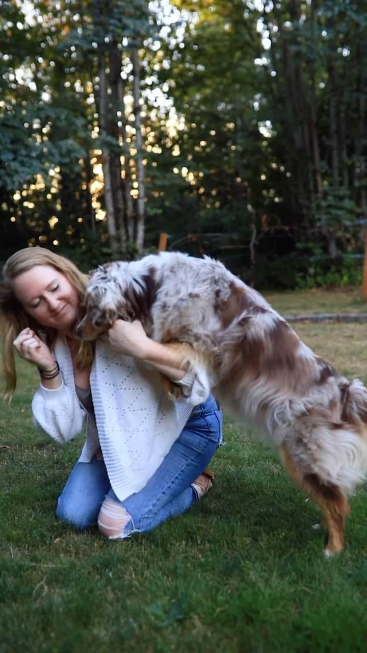 DogsOf Instagramのインスタグラム：「Susie (@travelwithauss) was just 2 years old when she was diagnosed with arthritis. Seeing her limp and slowly loose interest in playing broke my heart. She had already been through a lot of health issues as a puppy, but nothing felt quite as permanent as hearing she had a chronic disease that would only worsen over time. But this diagnosis wasn’t going to stop us from doing the things we love.   | ad | It started with supplements, accompanied by lots of stretching, exercises and taking it easy. Things improved, but we needed something more.   Then I heard about Galliprant. I’m a nurse and hey, being told she may need to take an NSAID for life, I immediately worried about how that’s going to  impact her liver and kidneys. But this medication is different. Galliprant is a first-of-its-kind NSAID that targets the source of osteoarthritis pain and inflammation while reducing the impact on kidney and liver health.  Since taking @galliprant and keeping up with her exercises, she is happier, limp free, and able to tackle any adventure we set our minds to.   September is also pain awareness month. Spreading awareness gives us an opportunity to reflect on the needs of millions of people, and pets, experiencing chronic pain from illnesses such as arthritis. If you want to get involved, spread the word or learn more, feel free to check out the link in my bio.  A diagnosis does not define you. Don’t let the things you cannot do prevent you from doing the things you can. No matter what comes in our way, we’ll continue to do whatever it takes to make our pets live a longer, happier life.  —————— #painawarenessmonth #arthritis #chronicillness #painfree #ilovemydog #mydogiscutest #dogsofinstagram #dogs #doglife #australianshepherd #aussies #aussielove #redmerle #cutedogs @weareelanco @galliprant」