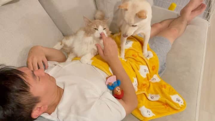 のインスタグラム：「🙋‍♀️ やまうちは今日早く寝るそうです🌝💤 #むぎとやまうちとがぶ」