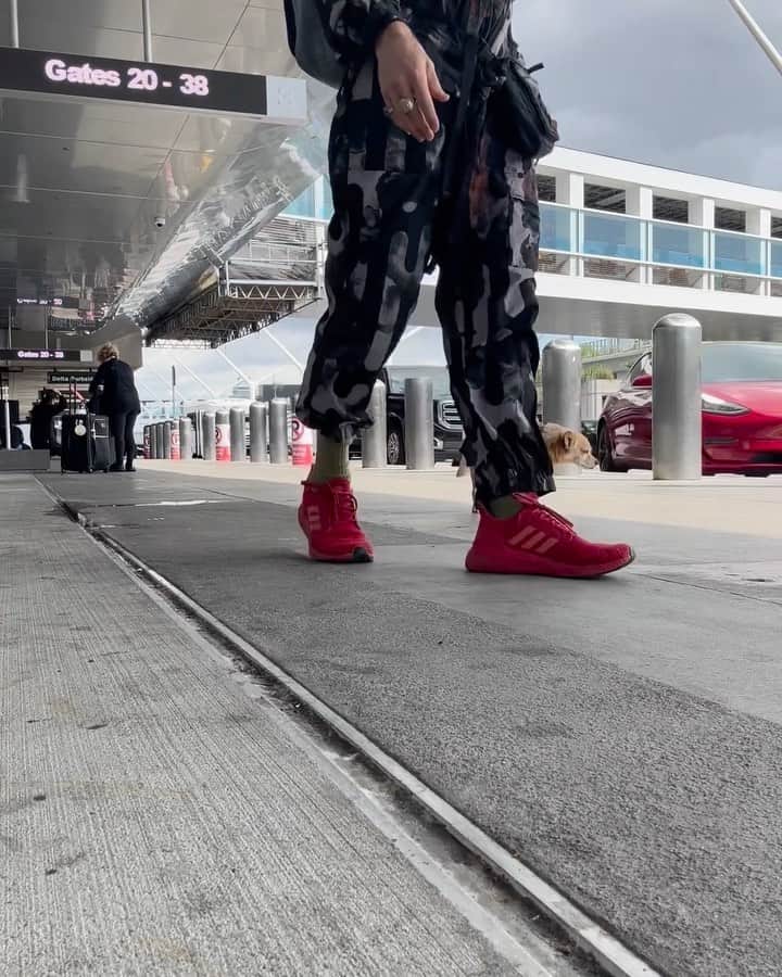 グレッグ・サイプスのインスタグラム：「Always let Dog lead the way if you want your heart to fly to new heights of happiness, holiness and the right pole to pee on. 💚 #DogBlessed」