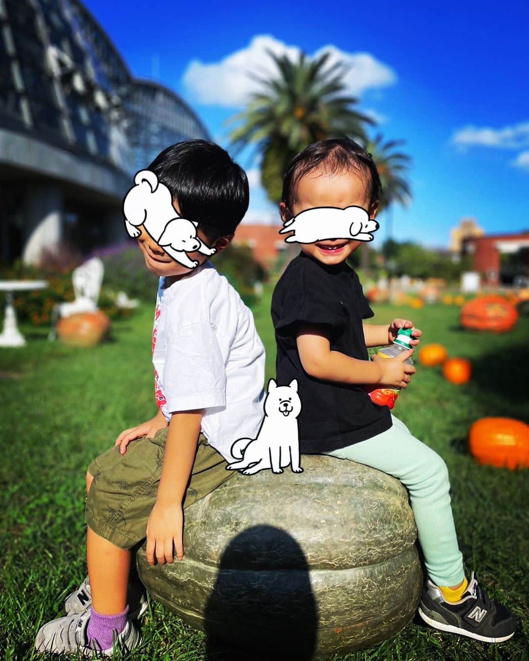 小林夏子のインスタグラム：「🎃  #boys #pumpkin  #4y #2y6m #october #bros #momdays #family #smiling #happy #love #life #thanks」
