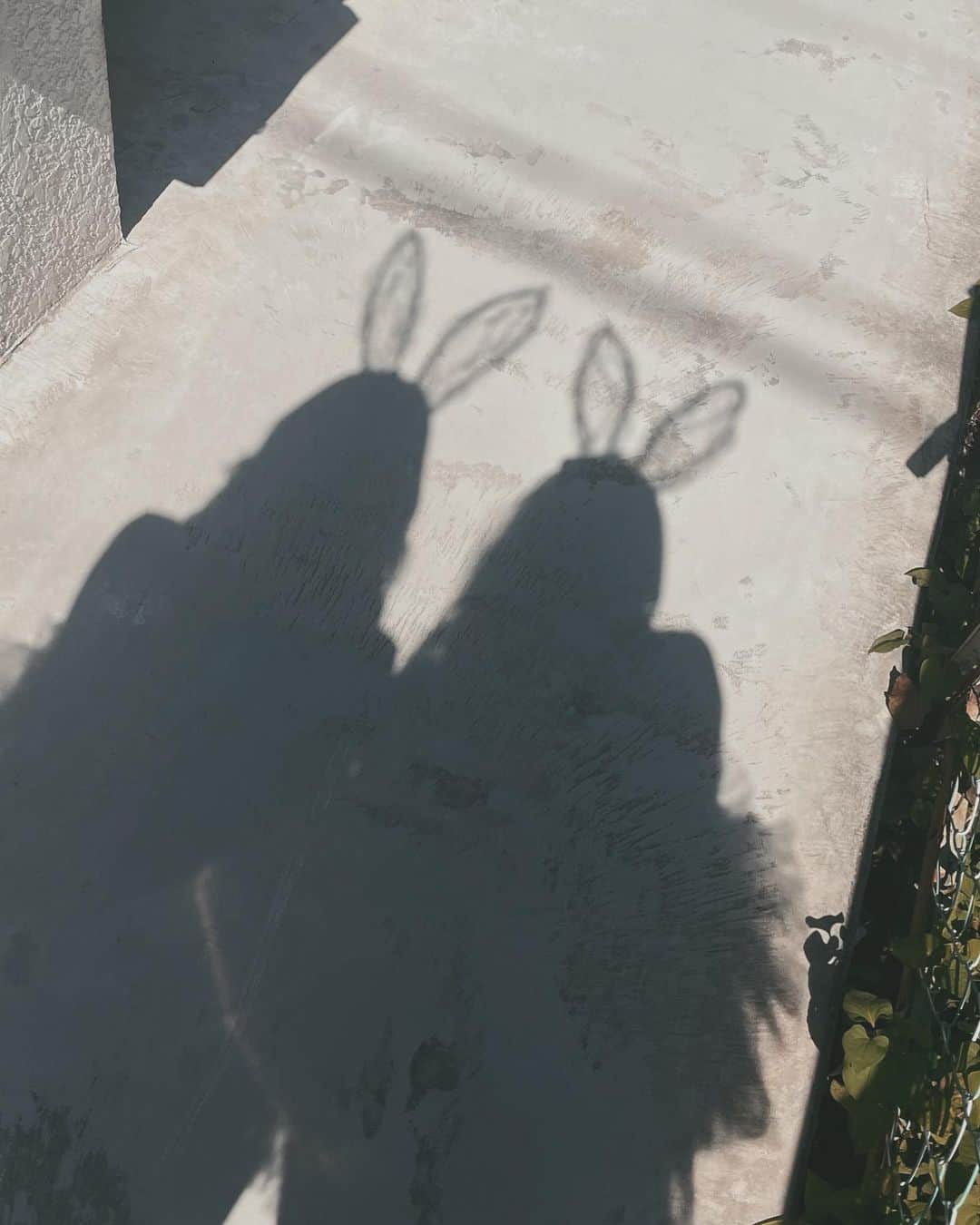 鈴木愛美のインスタグラム：「: @vanityme_costume 🐰🖤」