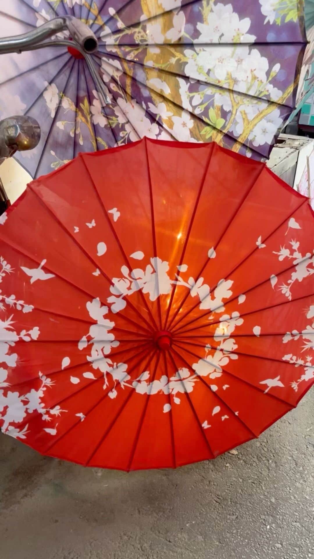 石川蓮美のインスタグラム：「#小樽昭和浪漫 #暮らすように旅をする  #東京から移住  #北海道love  #小樽 #小樽散歩  #小樽出世前広場  #和傘  まだまだ知らない小樽がここにはあった😆 大好きな曲と共に。 #花の慶次」